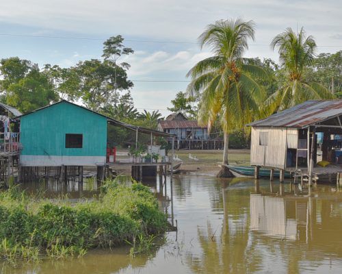 Vy från amazonfloden med hus på pålar