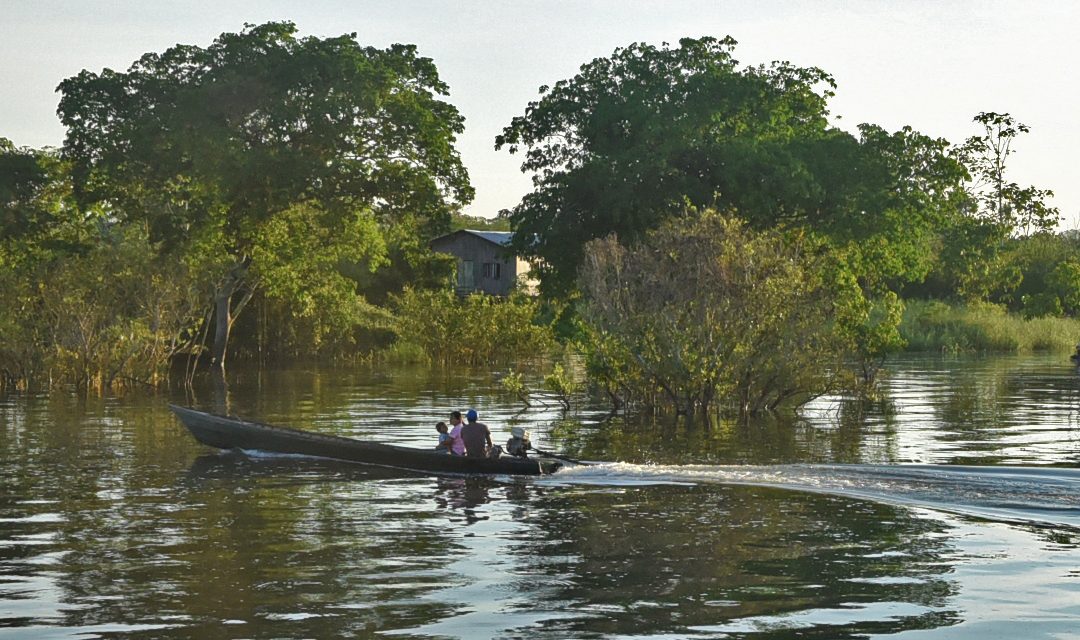 Vy av amazonfloden med båt och hus